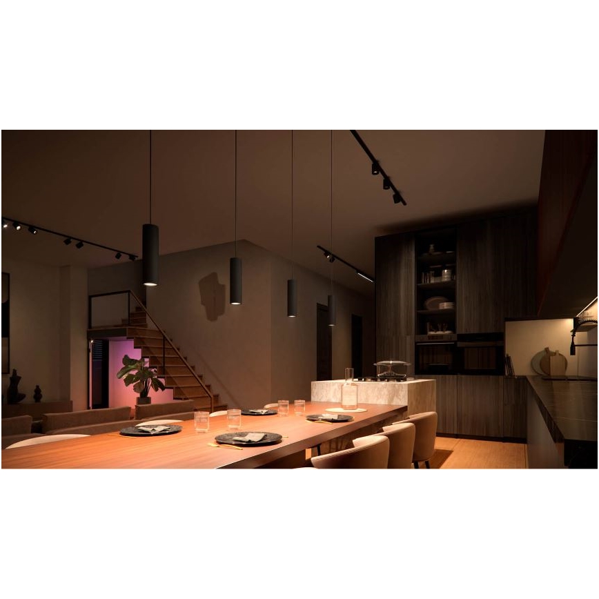 Philips - LED RGB dimeriuojamas pakabinamas šviestuvas ant laido, skirtas Hue bėgelių sistemai PERIFO LED RGB/5,2W/24V 2000-6500K