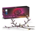 Philips - LED RGBW dimeriuojama lauko girlianda HUE WHITE AND COLOR AMBIANCE 500xLED 44,4 m 2000-6500K IP54