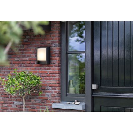 Philips - LED sieninis lauko šviestuvas ARBOUR LED/3,8W/230V 2700K IP44