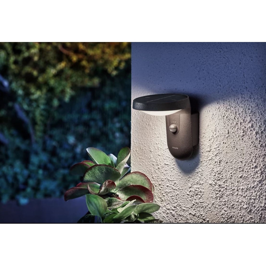 Philips - LED sieninis šviestuvas su jutikliu, įkraunamas saulės energija LED/1,2W/4V 1800 mAh 4000K IP44