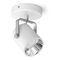 Philips - LED taškinis šviestuvas LED/4,3W/230V 2200/2500/2700K