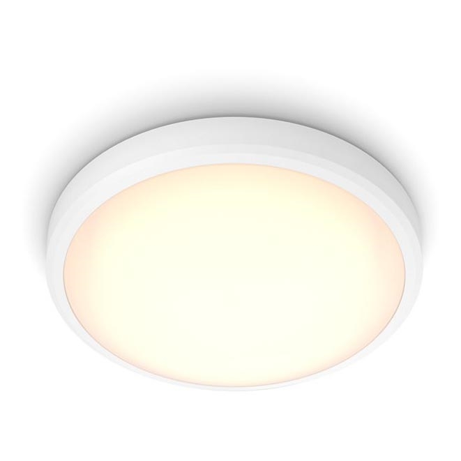 Philips - LED Vonios lubinis šviestuvas BALANCE LED/17W/230V IP44