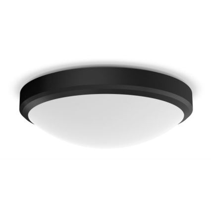 Philips - LED Vonios lubinis šviestuvas LED/17W/230V IP44