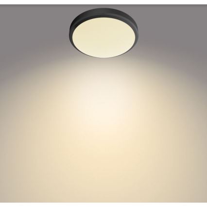 Philips - LED Vonios lubinis šviestuvas DORIS LED/6W/230V IP44