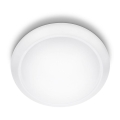 Philips - Lubinis LED šviestuvas LED/20W/230V 4000K