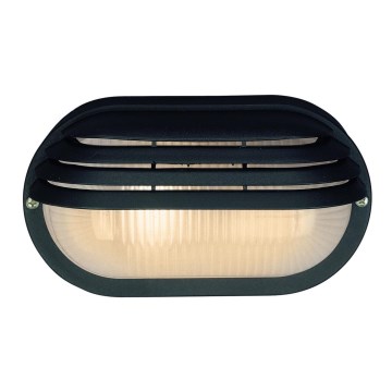 Philips Massive 71246/01/30 - Lauko šviestuvas 1xE27/40W IP44