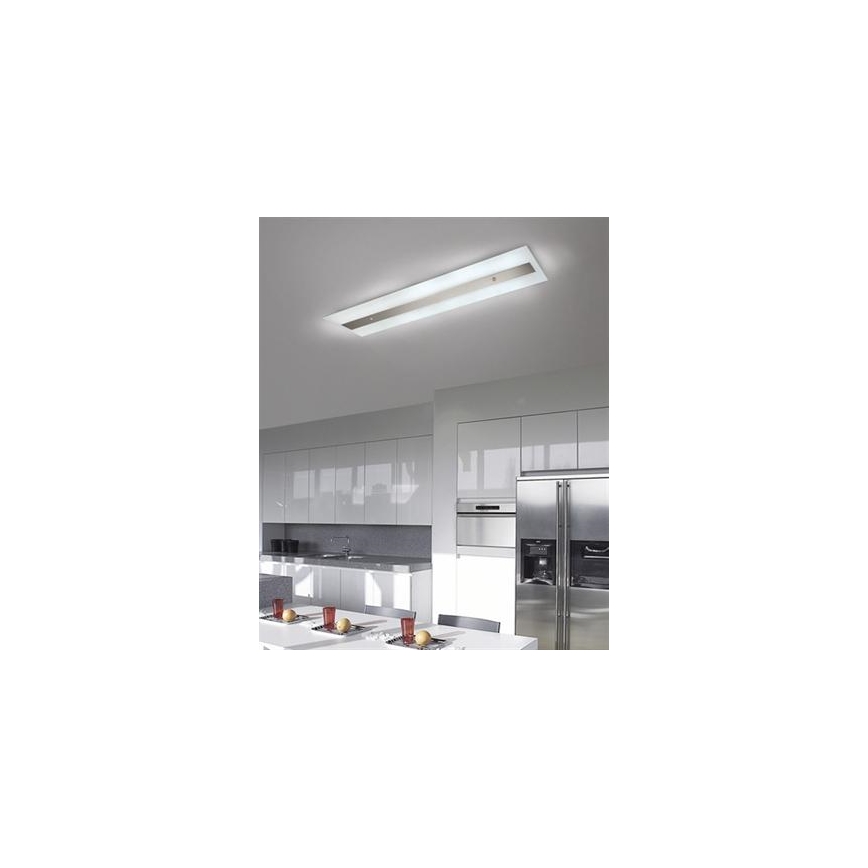 Philips Massive 85115/14/31 - Liuminescencinis šviestuvas DECOLINE 2xG5/14W/230V