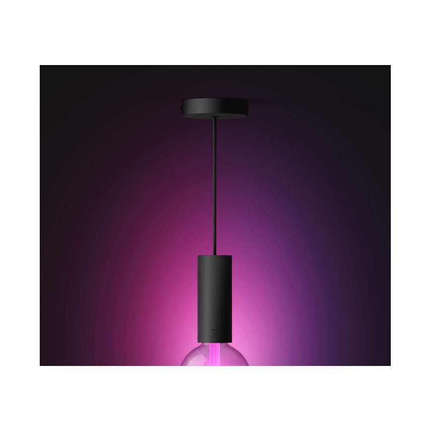 Philips - Pakabinamas sietynas Hue GUIDE 1xE27/60W/230V