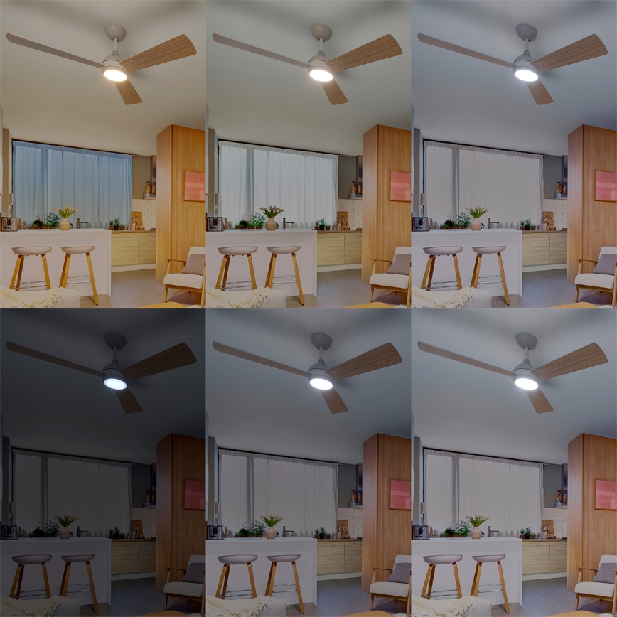 Philips - reguliuojamo ryškumo LED lubinis ventiliatorius CIVX LED/24W/230V + nuotolinis valdymas