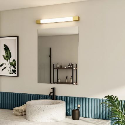 Philips - Vonios veidrodžio apšvietimas ROVER LED/10W/230V IP44 žalvaris