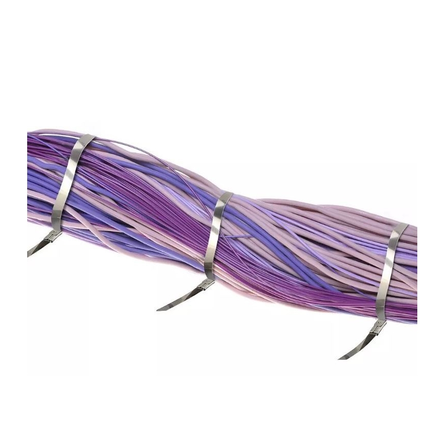 Plastikiniai užtraukiami dirželiai 4,6x250mm 100vnt plienas