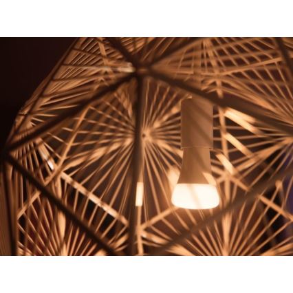 Philips Hue WHITE AMBIANCE pradinis komplektas 2xE27/8W/230V + Hue Bridge ir dimerio jungiklis