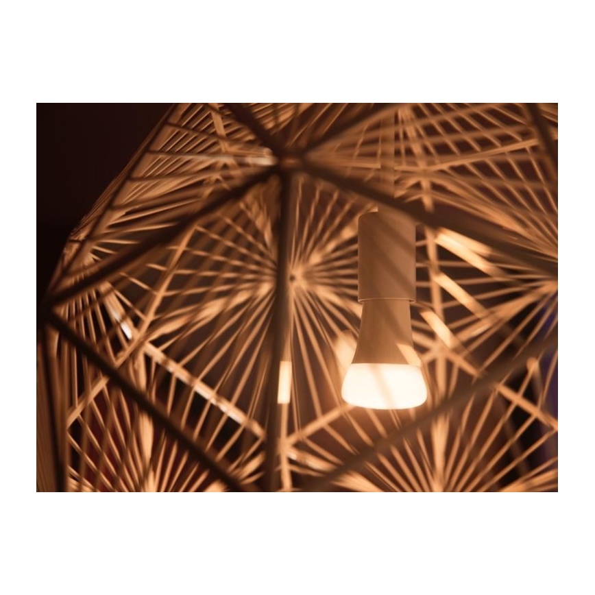 Philips Hue WHITE AMBIANCE pradinis komplektas 2xE27/8W/230V + Hue Bridge ir dimerio jungiklis