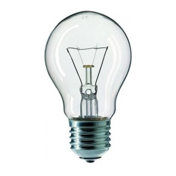 Pramoninė elektros lemputė E27/60W/230V 2200K