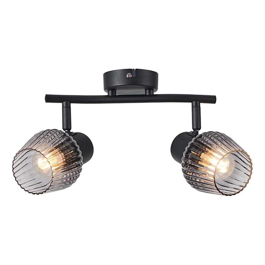 Prezent 14101 - Akcentinis apšvietimas OASIS 2xE27/60W/230V juoda/dūminis