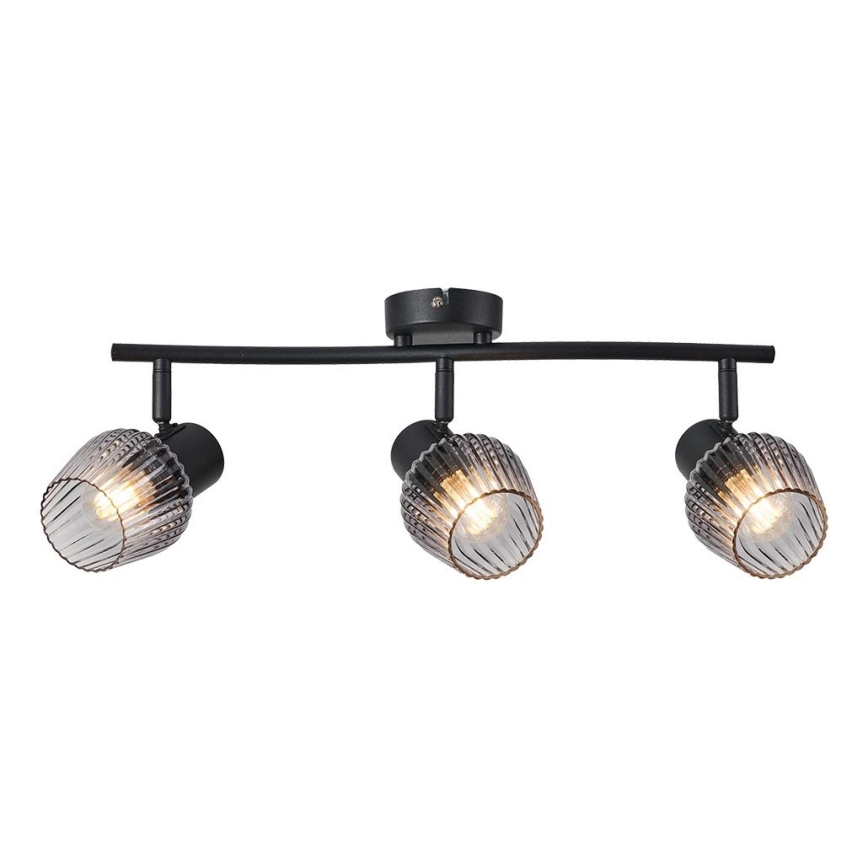 Prezent 14102 - Akcentinis apšvietimas OASIS 3xE27/60W/230V juoda/dūminis