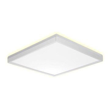 Prezent 27305 - LED lubinis vonios šviestuvas CORDIA SQ LED/12W/230V 3000/6000K IP54 balta
