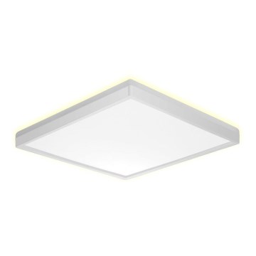 Prezent 27309 - LED lubinis vonios šviestuvas CORDIA SQ LED/24W/230V 3000/6000K IP54 balta
