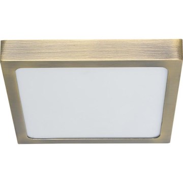 Prezent 49062 - LED lubinis šviestuvas LENYS LED/9W/230V 4000K 12x12 cm žalvaris
