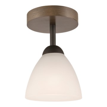Prie lubų montuojamas šviestuvas ADRIANO 1xE27/60W/230V, ąžuolo spalvos