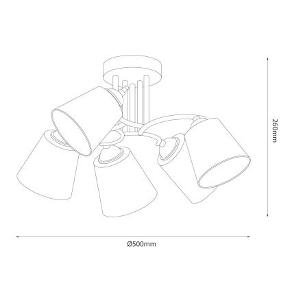 Prie lubų montuojamas šviestuvas PAFOS 5xE27/15W/230V juodas