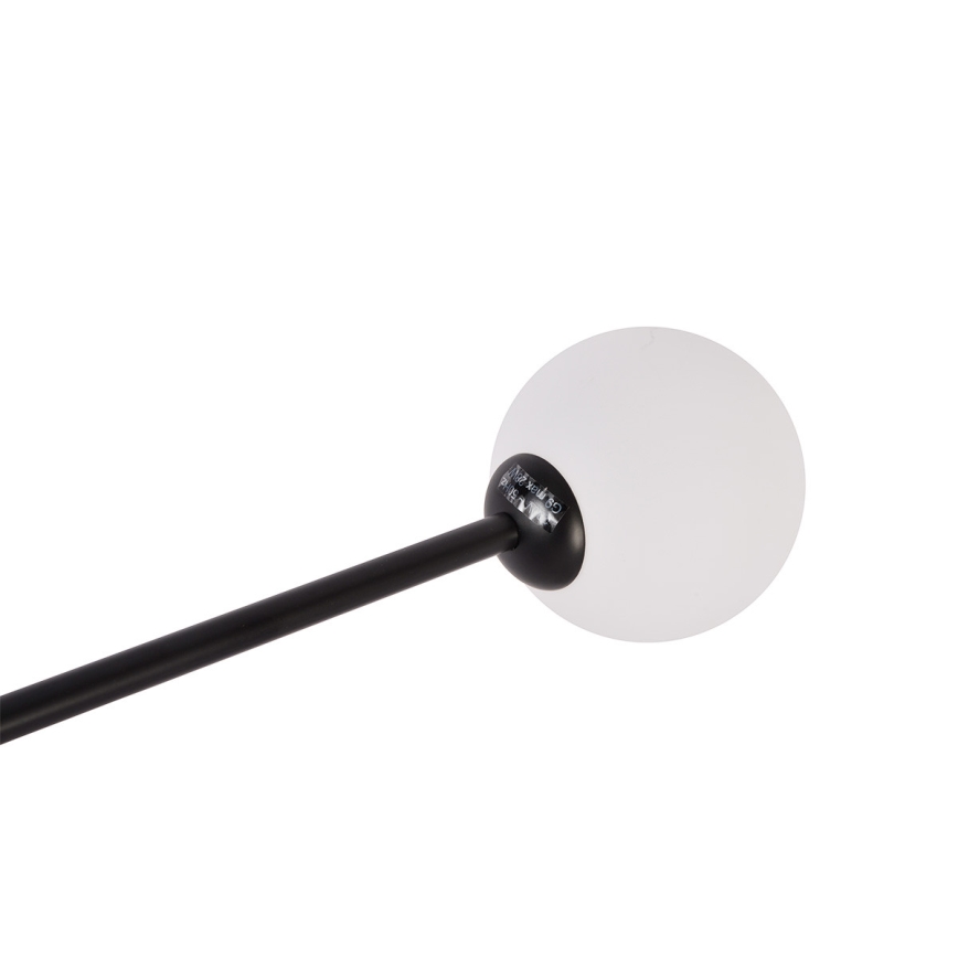 Prigludęs lubinis šviestuvas DORADO 6xG9/28W/230V juodas