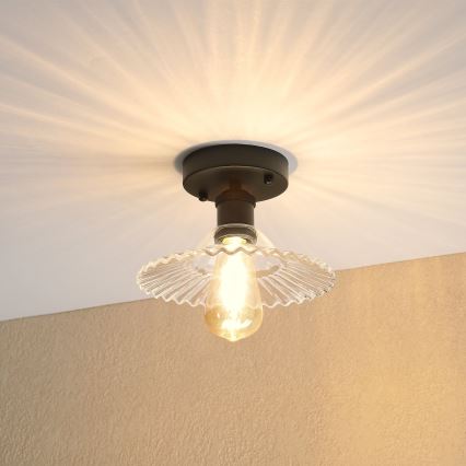 Prigludęs šviestuvas TRISH 1xE27/15W/230V juodas/skaidrus