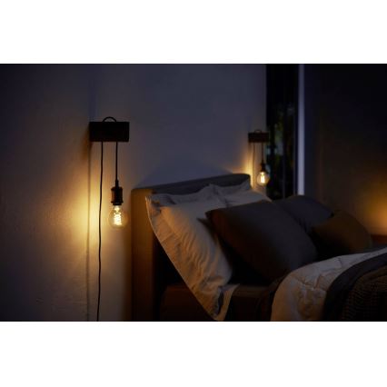 Pritemdoma LED elektros lemputė Philips Hue WHITE FILAMENT G93 E27/7W/230V