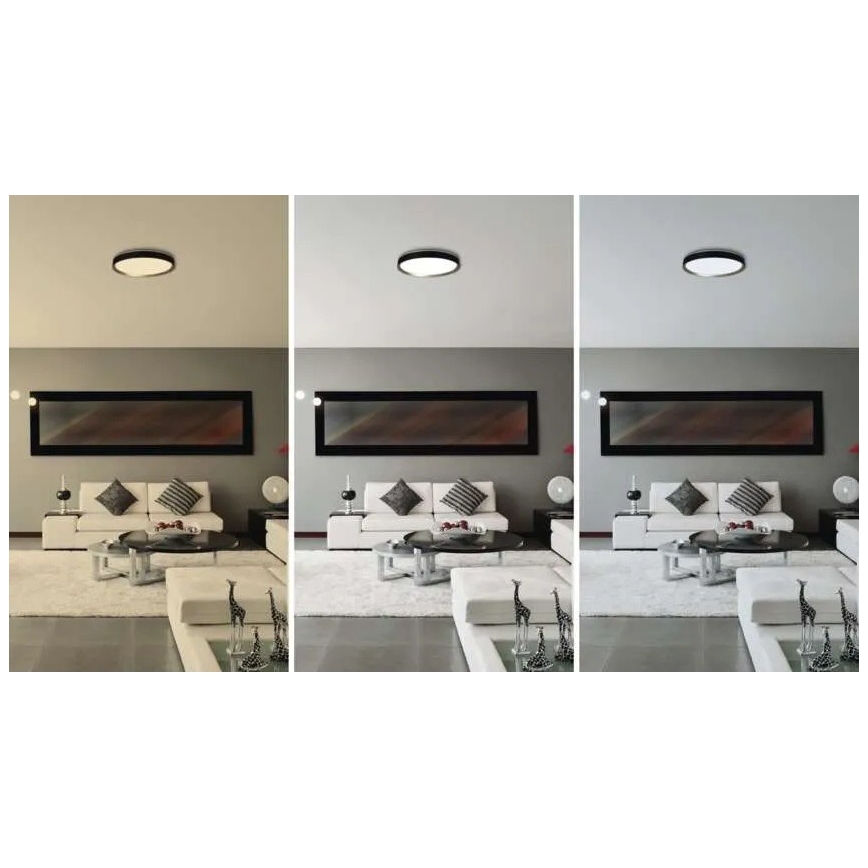 Dimeriuojamas LED lubinis šviestuvas ILVI LED/30W/230V 2700-6500K skersmuo 40 cm juoda/žalvaris + nuotolinis valdymas