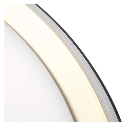 Dimeriuojamas LED lubinis šviestuvas ILVI LED/30W/230V 2700-6500K skersmuo 40 cm juoda/žalvaris + nuotolinis valdymas