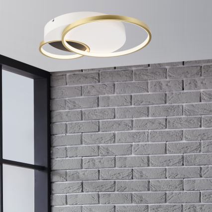 Pritemdomas lubinis šviestuvas BENITO LED/31W/230V 3000-6500K balta/auksas
