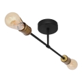 Pritvitinamas sietynas CAMBRIDGE 2xE27/15W/230V black/golden