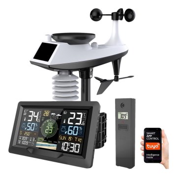 Profesionali meteostotėlė su spalvotu LCD ekranu 5V/2xAA + 3xAA + 2xAA Wi-Fi Tuya