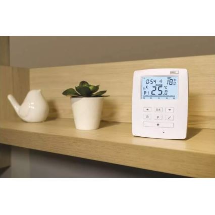 Programuojamas termostatas 230V+2xAA