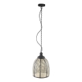 PTMD - Liustra su grandine BAYU 1xE27/40W/230V skersmuo 29 cm