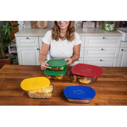 PYREX stiklinių maisto indų rinkinys, 2 vnt. (1,2 l ir 2,5 l)