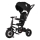 QPlay - Vaikiškas triratis 3in1 RITO AIR juoda