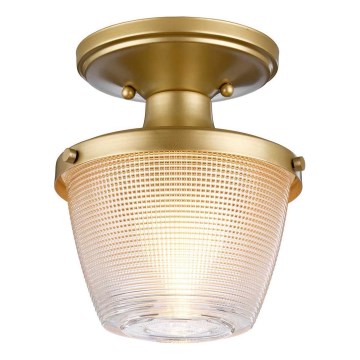 Quoizel - Lubinis vonios šviestuvas DUBLIN 1xE27/40W/230V IP44 auksas