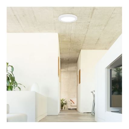 Rabalux - LED lubinis šviestuvas su jutikliu LED/18W/230V 4000K 22,5 cm