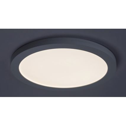 Rabalux - LED panelė su jutikliu LED/30W/230V 33 cm