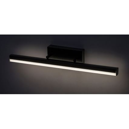 Rabalux 2166 - LED Vonios veidrodžio šviestuvas LED/12W/230V 49 cm IP44