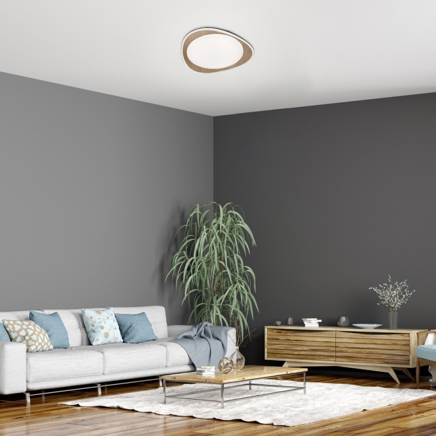 Rabalux - LED Lubinis šviestuvas LED/24W/230V