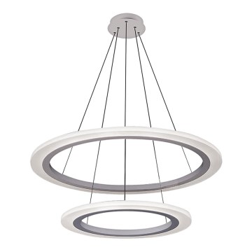 Rabalux 2429 - LED sietynas ADRIENNE LED/62W/230V sidabras