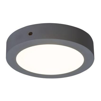 Rabalux - LED lubinis šviestuvas LED/12W/230V