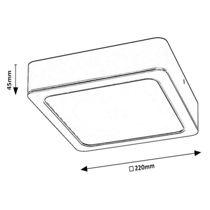 Rabalux - LED lubinis šviestuvas LED/24W/230V 22x22 cm