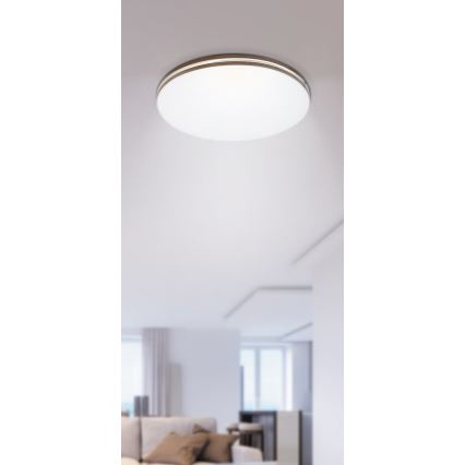 Rabalux - LED lubinis šviestuvas 1xLED/18W/230V