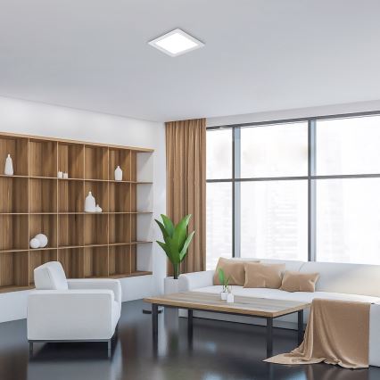 Rabalux - LED įleidžiamas lubinis šviestuvas LED/24W/230V 22x22 cm