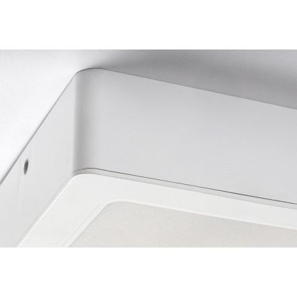 Rabalux - LED lubinis šviestuvas LED/12W/230V 14,5x14,5 cm