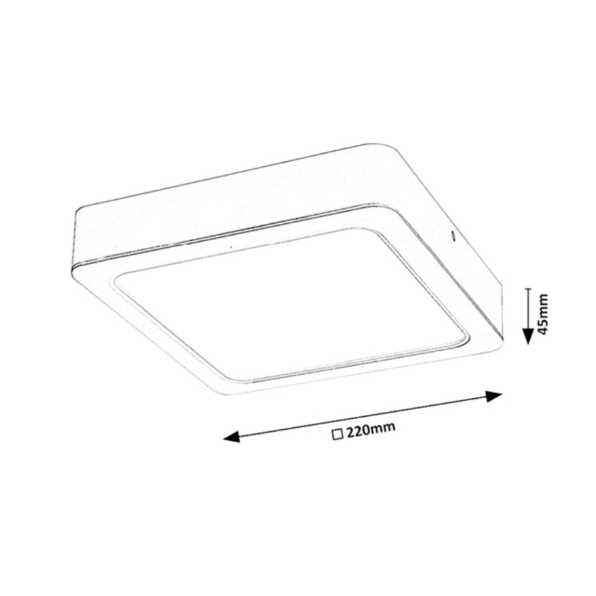 Rabalux - LED lubinis šviestuvas LED/24W/230V 22x22 cm