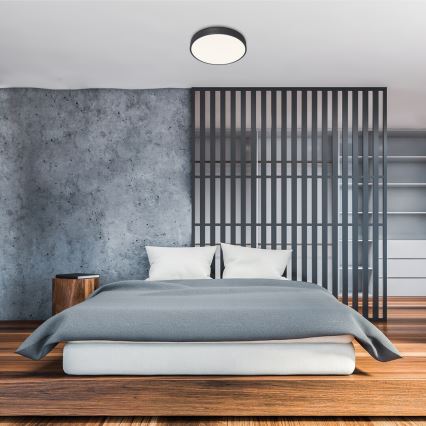 Rabalux - reguliuojamas LED lubų šviestuvas LED/60W/230V 60 cm + nuotolinis valdymas, skersmuo 60 cm